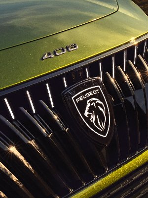 Close-up of green Peugeot 408 car grille and badge.