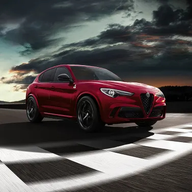 Alfa Stelvio Quad